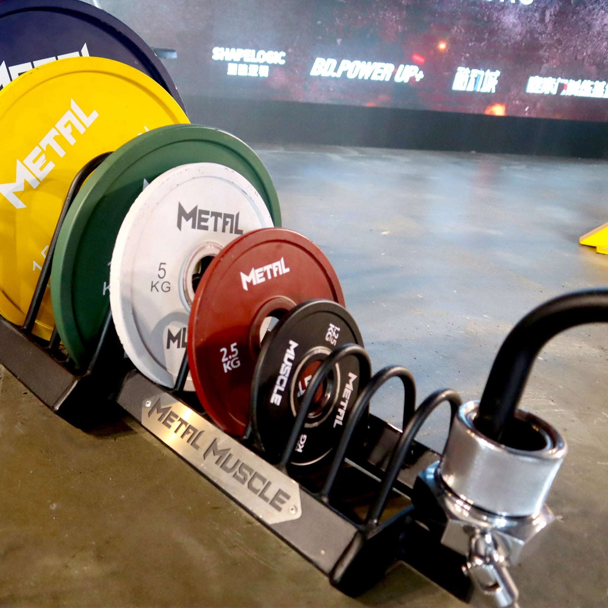 Toaster Plate Storage Rack